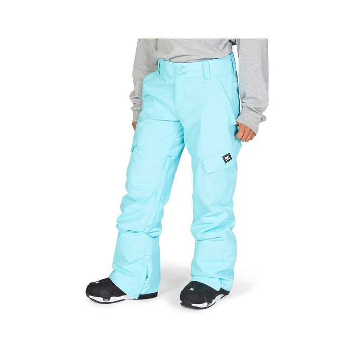 DC Nonchalant Snowboard Pants, Women's Size Medium, Blue Radiance New