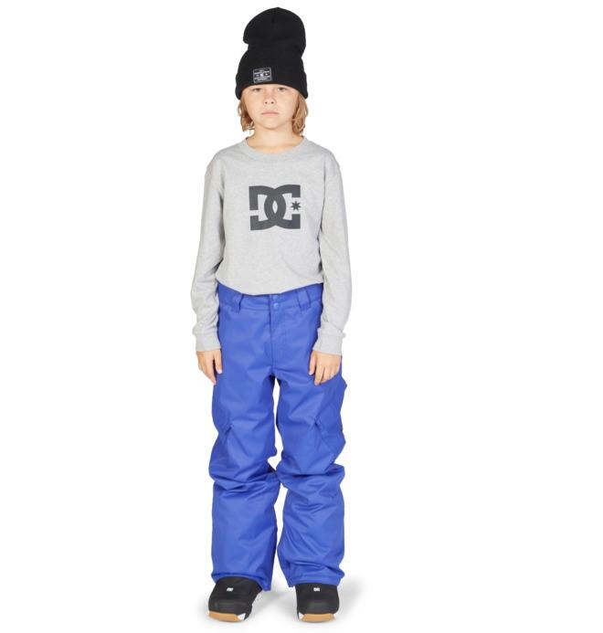 DC Banshee Snowboard Pants Boys Youth Medium (12) Royal Blue