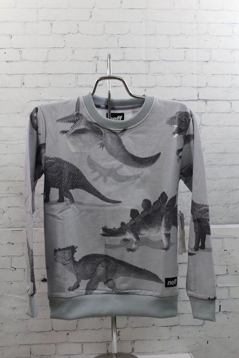 Neff Dinorawr Crew Neck Pullover Sweatshirt Boys Youth Medium Grey