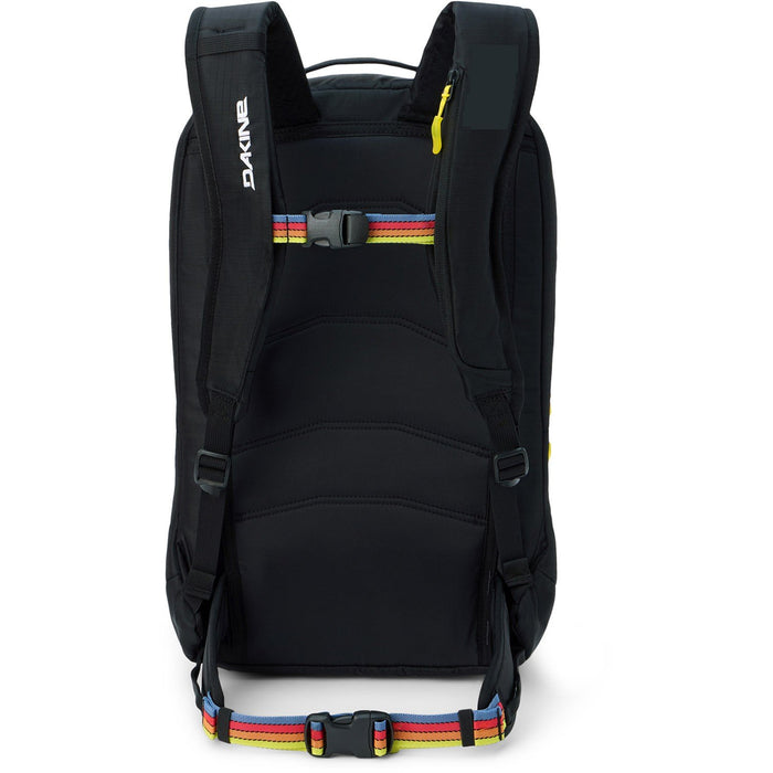 Dakine Women's Team Mission Pro 18L Snow and Ski Backpack Jamie Anderson Stripes