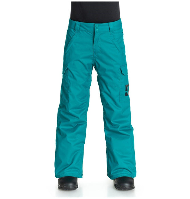 DC Boys Youth Banshee Snowboard Pants Medium (12) Harbor Blue New