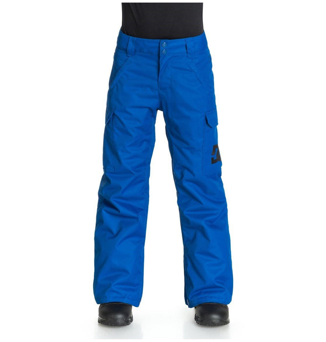 DC Banshee Snowboard Pants Boys/Youth Medium (12) Surf the Web Blue New